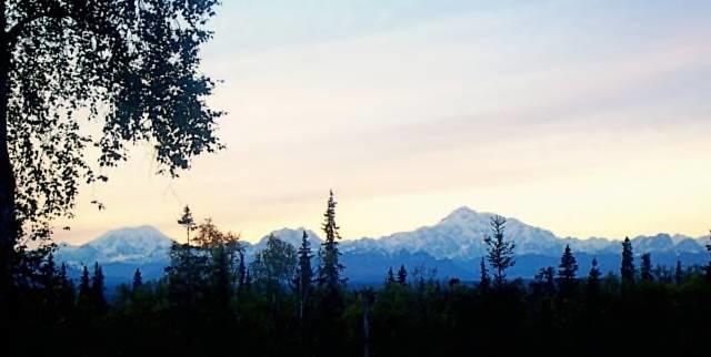 Grace And Bill'S Freedom Hills B&B Talkeetna Luaran gambar