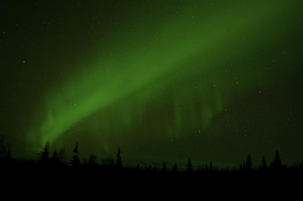 Grace And Bill'S Freedom Hills B&B Talkeetna Luaran gambar