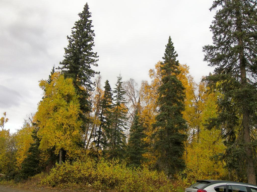 Grace And Bill'S Freedom Hills B&B Talkeetna Luaran gambar