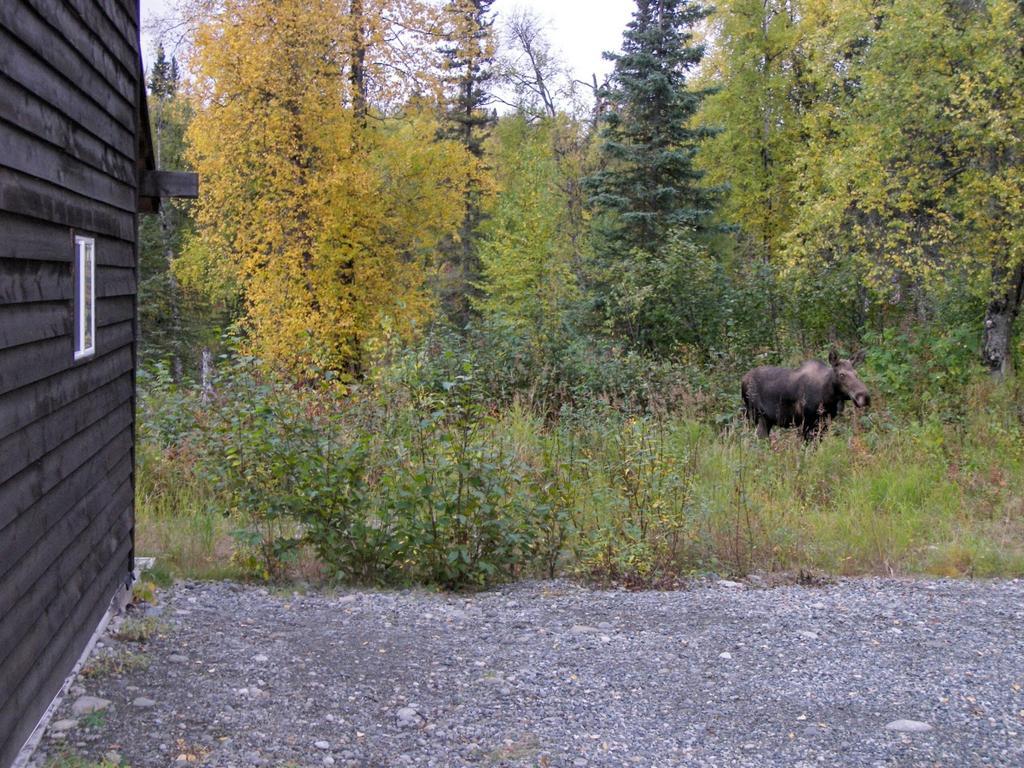 Grace And Bill'S Freedom Hills B&B Talkeetna Luaran gambar