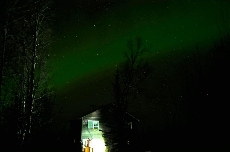 Grace And Bill'S Freedom Hills B&B Talkeetna Luaran gambar