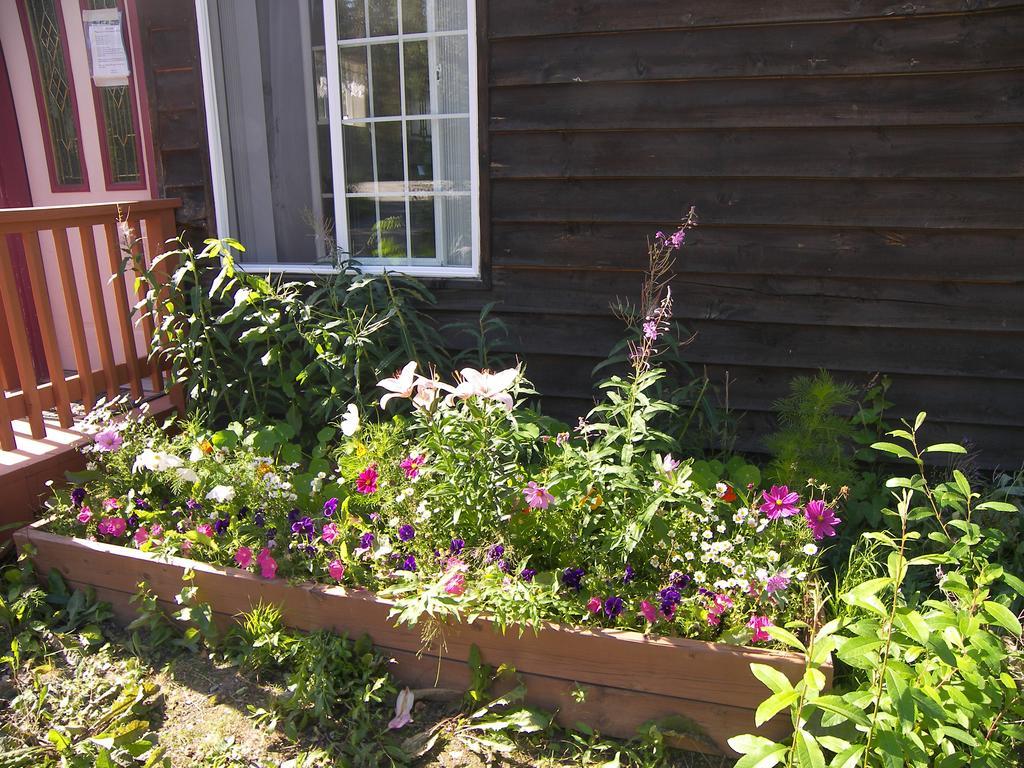 Grace And Bill'S Freedom Hills B&B Talkeetna Luaran gambar