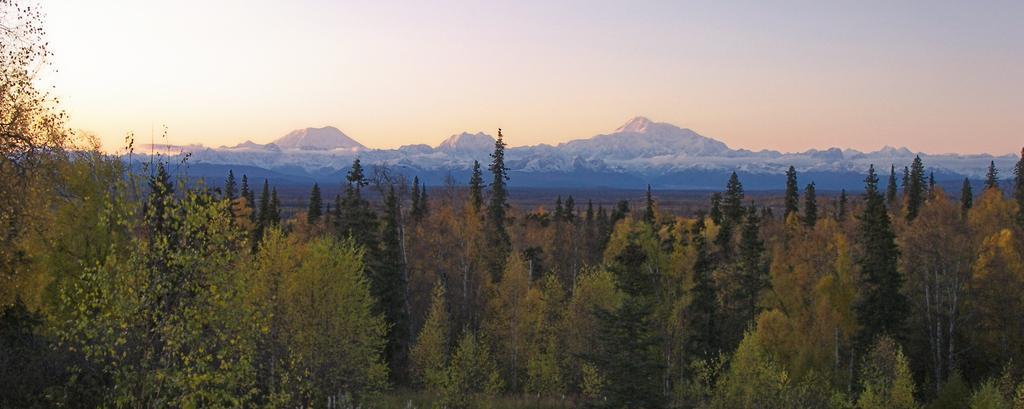 Grace And Bill'S Freedom Hills B&B Talkeetna Luaran gambar