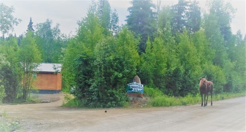 Grace And Bill'S Freedom Hills B&B Talkeetna Luaran gambar